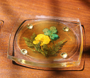 Vintage Lucite Coasters with Real Pressed Flowers in Yellow, Teal and Green Set of Six - Scotch Street Vintage