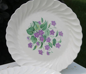Vintage Royal Violet China Serving Platters by Royal China USA with Delicate Hand Painted Violet Pattern Dinnerware Set of 2 Serving - Scotch Street Vintage